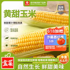 佳农宝菜山东新鲜水果玉米带绿皮单根300g+净重4.6斤4-7根源头直发